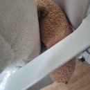 다이소 생활템 4종 리뷰🧺 직접 써본 솔직 후기 모음!