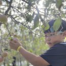 신세계 태권도 이미지