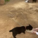 청계농장 | 파주 주말 아이랑 나눔농장 먹이주기 모래놀이 입장료