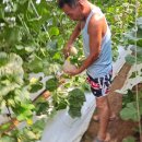 이상철농장 이미지