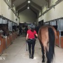 본마사동 이미지