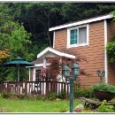 모닝펠리스 이미지