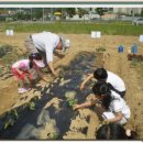 한양해피아이지역아동센터 이미지