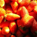 현이농장 이미지