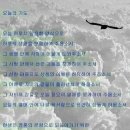 (주)희망나무종합병원 네이버블로그