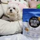 강아지 단백질 핏펫 잇츄 프로틴 퍼피 급여후기