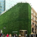 네이처리퍼블릭 카카오 검색결과