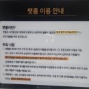 펫코노미 | [제주-목포]퀸제누비아2 배 타고 제주도가기, 펫코노미 애견동반 여행 예약 및 후기(+차량 선적, 비용)