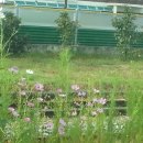 대전하기초등학교 이미지