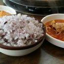 꿀메마루 이미지