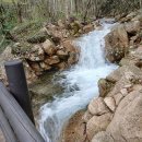 온펜션 | 오랜만에 힐링여행 제대로 하고 온 펜션 후기