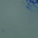 엘동물병원 이미지