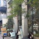 지아'조 이미지