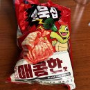 나의 블로그 일지 #52