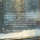 라이너(Liner ai)/ 한문원본 번역 이미지
