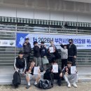 복싱바이러스 이미지