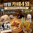 카페4월 | 이런 시골길에 화덕피자가 있다고? 영월 카페4월 솔직 후기
