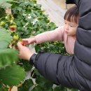 응골농장 이미지