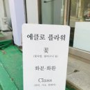 에클로플라워 이미지