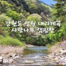 사랑나무 캠핑장 이미지