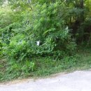 용산마을진입로 이미지