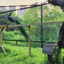 작은동물원 이미지