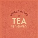 티소믈리에 이미지