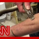 Tim Friede, a self-taught snake expert from California, injected himself 이미지