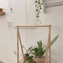 버들길 | 물금양식 중에서도 인상 깊었던 화덕군피자리 방문 후기