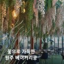 베이커리궁 | [원주카페] 원주 베이커리카페 베이커리궁 방문 후기