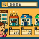 백동물병원 이미지