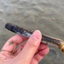 태안상회 이미지