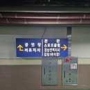 한전 | 한전아트센터 웨딩홀 후기, 양지홀 뷔페, 주차장 정보