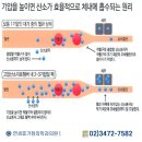 연세가정의원 | 강남365병원 면역력향상에 탁월 고압산소치료 효과! 365일야간진료 연세휴가정의학과의원