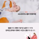 바이포레카페