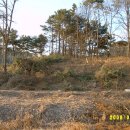 서부우회도로 이미지