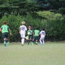 [7/31] 전북현대u-12 & 이코리아호랑이축구단 이미지