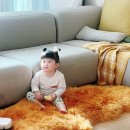 윤별 호주산 천연양모 러그 리뷰 감성인테리어필수템