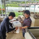 목포무안신안축산업협동조합 이미지