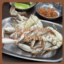 서산옥 | 서산 맛집 옥이네 | 삼촌카세 후기