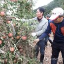 기선농장 이미지