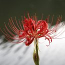 함평향교 이미지