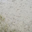 세어도어촌체험휴양마을 이미지