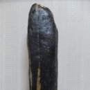 신동입석 이미지