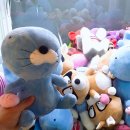 혜자 인형뽑기 이미지