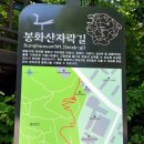 아차산유아숲체험장 네이버블로그