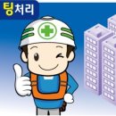 바로팅