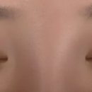 꽃바람미인