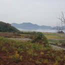 남해-221 이미지