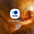 WON PC 이미지
